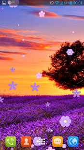 How to download Lavender Fields Live Wallpaper patch 1.7.2 apk for pc