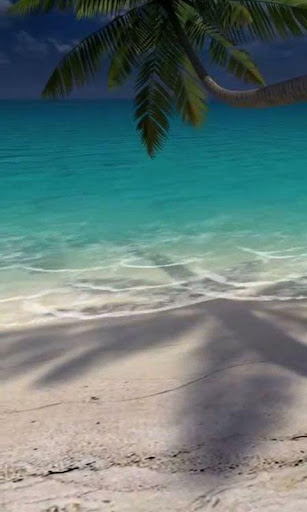 Sandy Beach live wallpaper