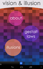 Vision & Illusions poster 6