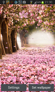 How to install Cherry Blossom Live Wallapper 4.0 mod apk for pc