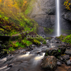 Latourell Falls by Nick Page - Landscapes Waterscapes