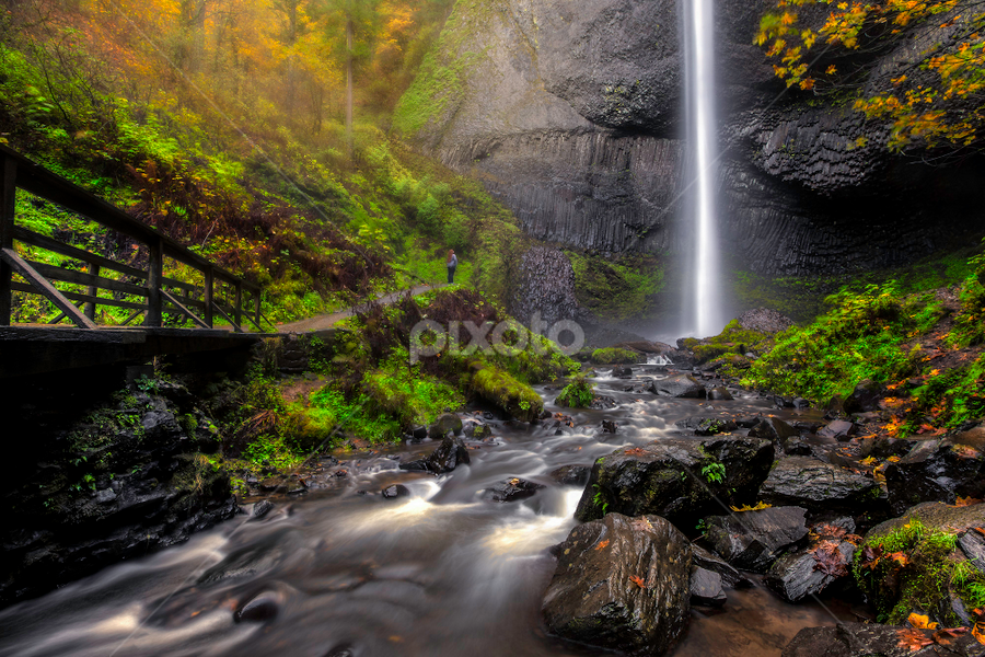 Latourell Falls by Nick Page - Landscapes Waterscapes