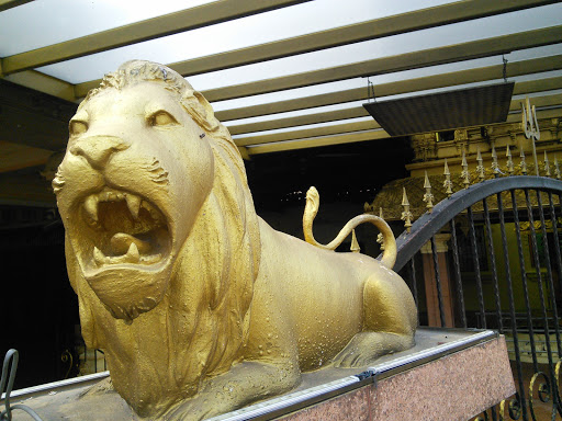 Roaring Golden Lion