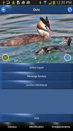 免費下載書籍APP|Oiseau Id: Oiseaux de France app開箱文|APP開箱王