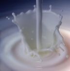 [milk[2].jpg]