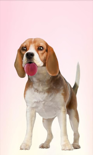 Dog Licking Screen Wallpaper