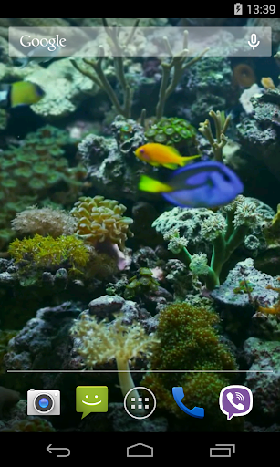 免費下載個人化APP|Aquarium Video Live Wallpaper app開箱文|APP開箱王