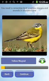 Remember Bird! poster 1