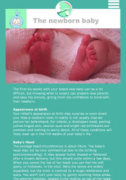 Baby Basics poster 2