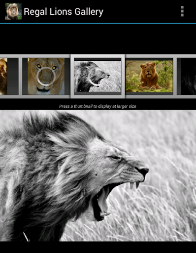 【免費攝影App】Regal Lions Gallery Wallpapers-APP點子