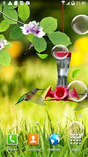 Hummingbirds wallpaper(圖2)-速報App