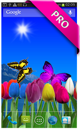 Tulips live wallpapers by PanSoft poster 8