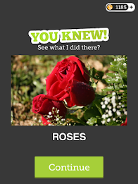 Eye Know: Image FX Word Quiz poster 7