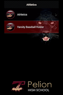 Pelion High School Athletics Screenshots 2