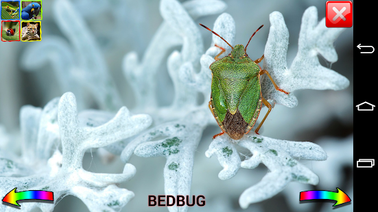 Free Fun Zoo Free APK