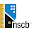 NSCB Mobile Download on Windows