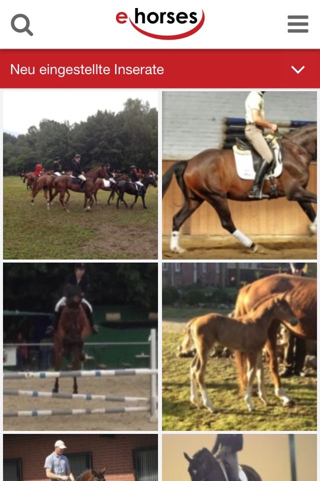 Android application ehorses screenshort