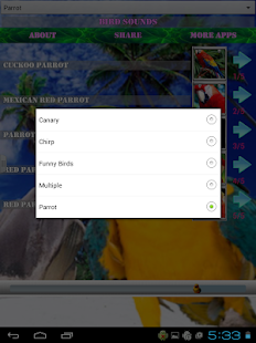 How to install Bird Sounds lastet apk for android