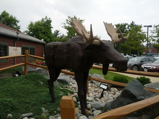 Bugaboo Moose