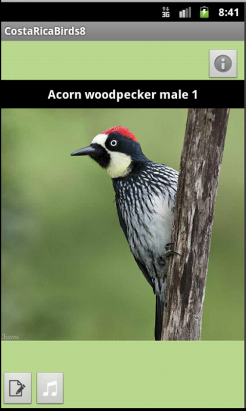 Costa Rica Birds Fieldguide Screen 3