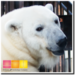 Cover Image of डाउनलोड i 動物園　とべ動物園 3.5 APK