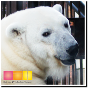 i 動物園　とべ動物園 3.5