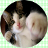 Cute Cat free(Look Photo) mobile app icon