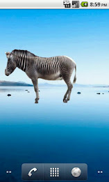 Zebra Sticker poster 2