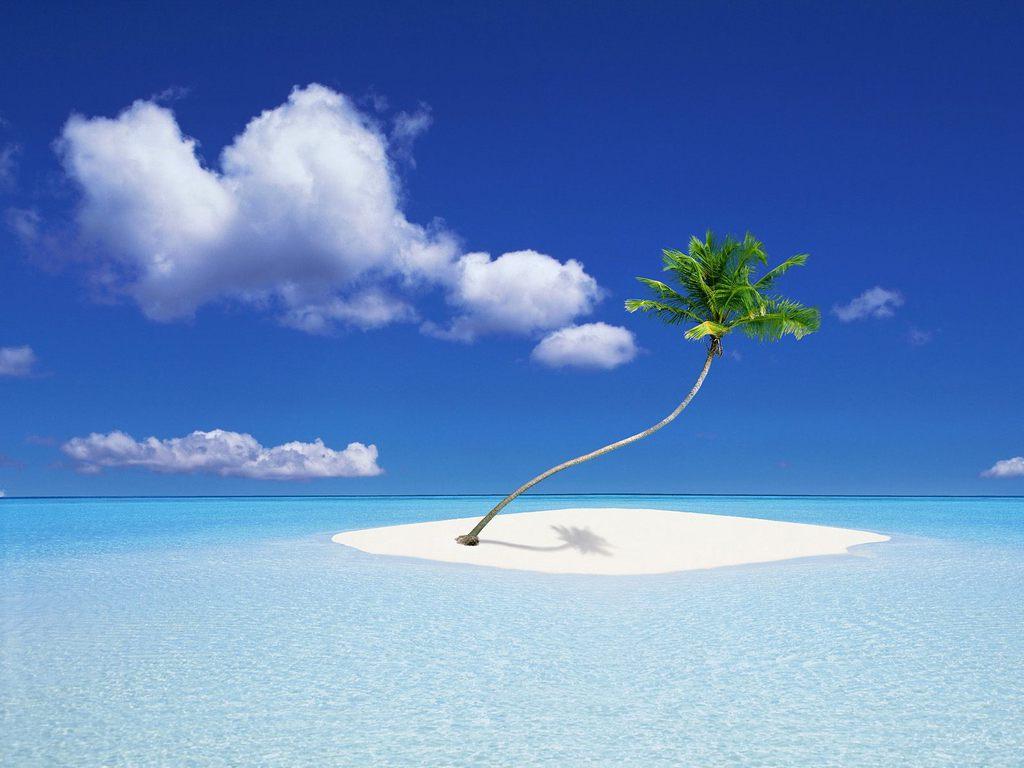 Beach Wallpaper Apl Android Di Google Play