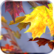 Autumn Tree Live Wallpaper