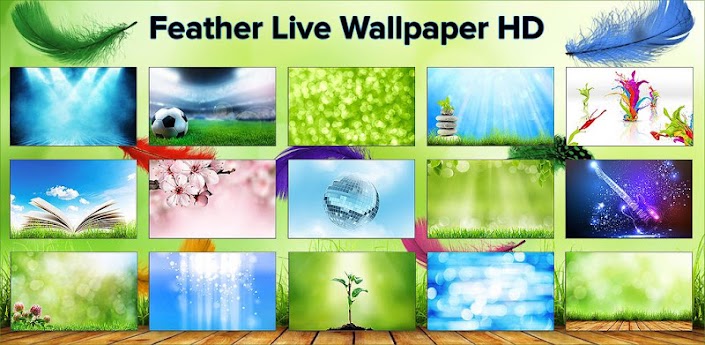 Feather Live Wallpaper HD Full