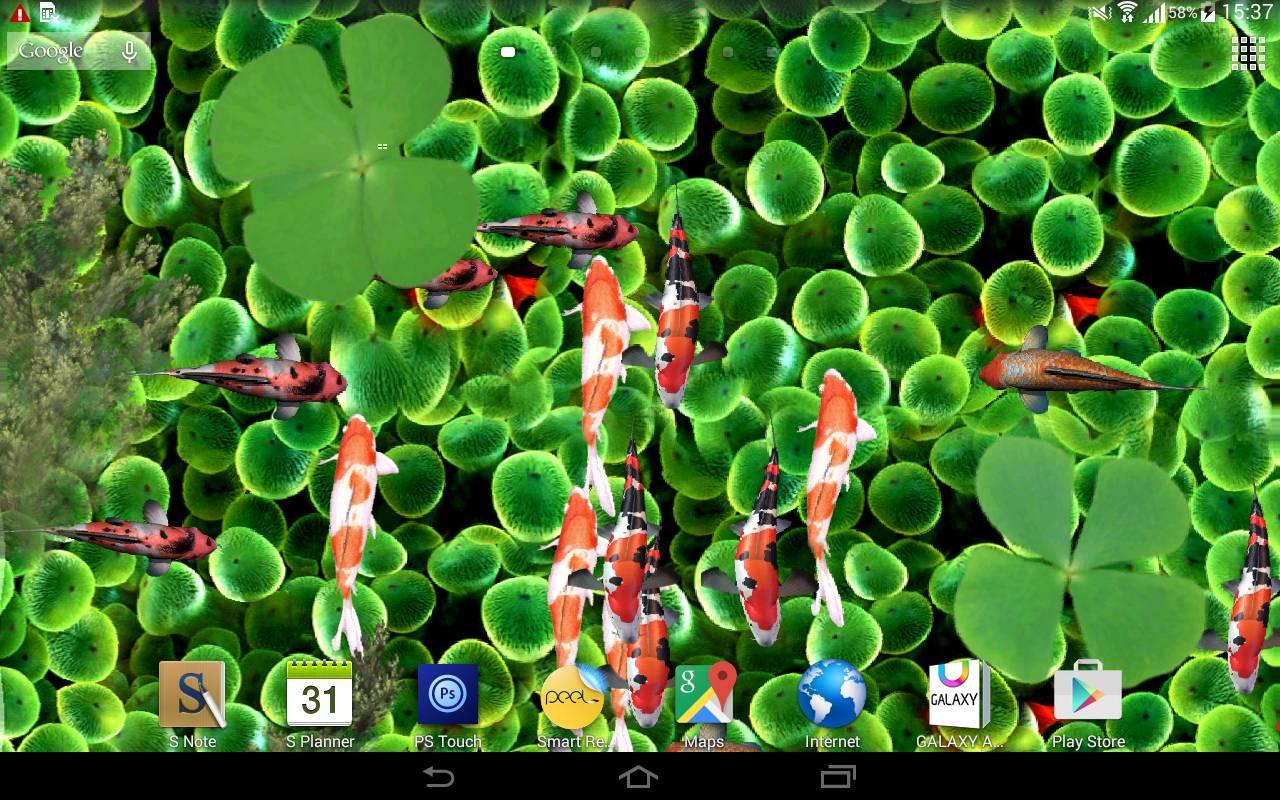 Koi Fish Aquarium Live Wallpaper 3D Apl Android Di Google Play