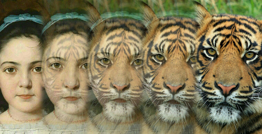 Zooface - GIF Animal Morph 1.3.6 screenshots 1