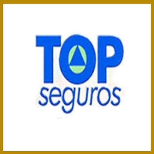 Top Seguros LOGO-APP點子