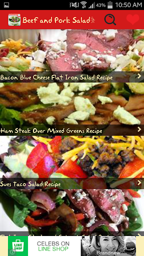 Beef and Pork Salads Recipes