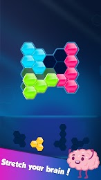 Block! Hexa Puzzle 4