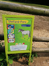 Tiergarten - Shetland-Pony