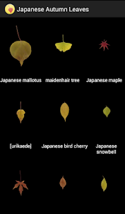 Japanese autumn leaves(圖1)-速報App