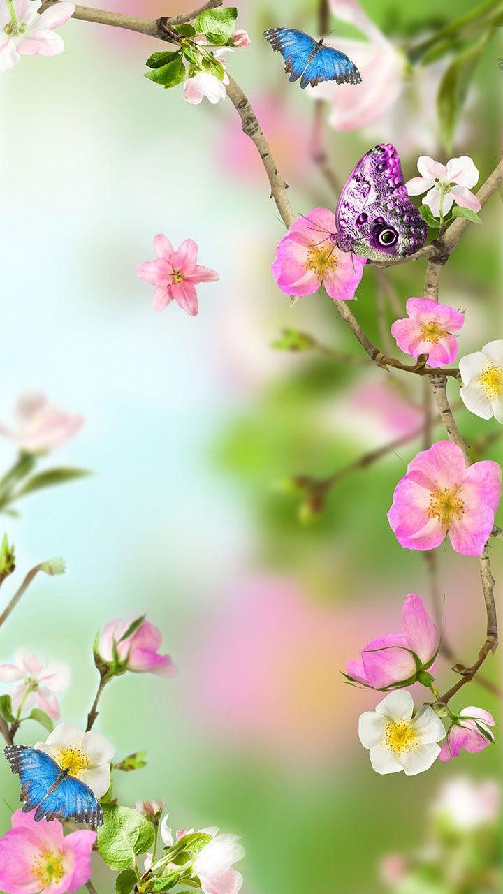Flowers Live Wallpaper Screen 1