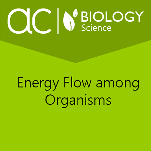 Energy Flow among Organisms 教育 App LOGO-APP開箱王