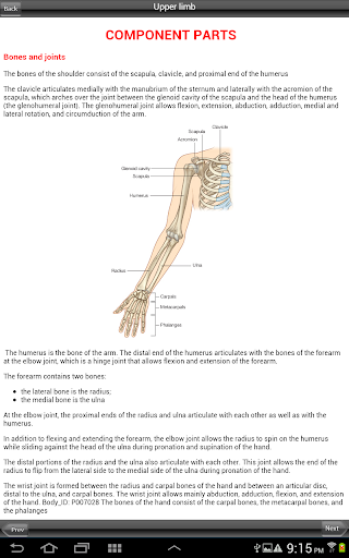 【免費醫療App】Gray's Upper and Lower Limb-APP點子