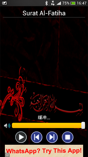 Holy Quran Chinese
