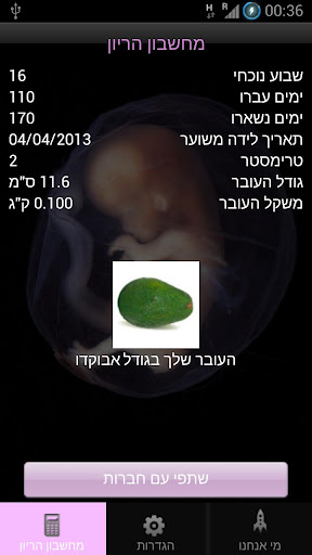 Pregnancy Calculator - מחשבון