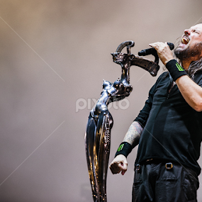 Korn by Stéphane zOz - People Musicians & Entertainers