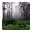 Serene Rainfall Live Wallpaper Download on Windows