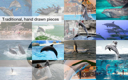 Dolphin Jigsaw Puzzles Demo poster 7