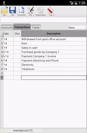 Banana Accounting 7 poster 1