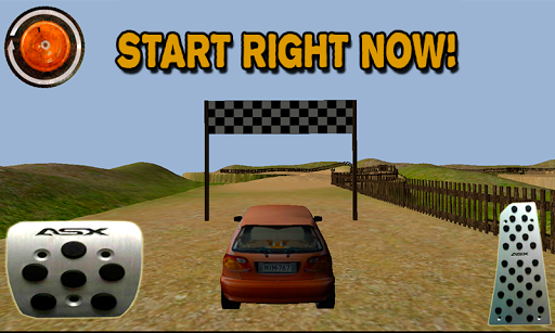 Rally Racer 3D