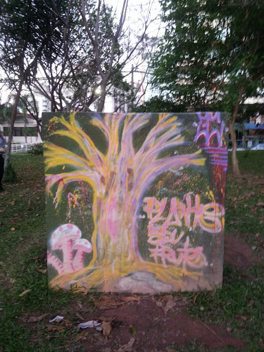 Grafitti No Parque Da Luz