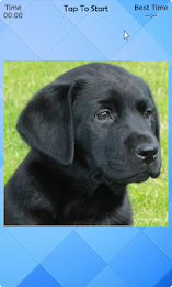 Dogs Puzzle poster 3